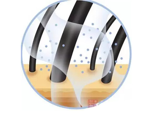 毛發(fā) 毛發(fā)